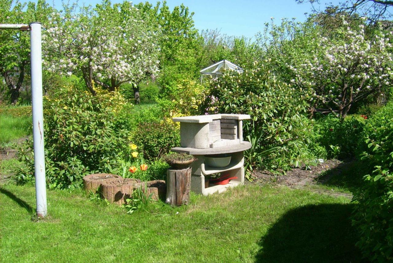 Ferienhaus Annemarie Senftenberg Exteriör bild
